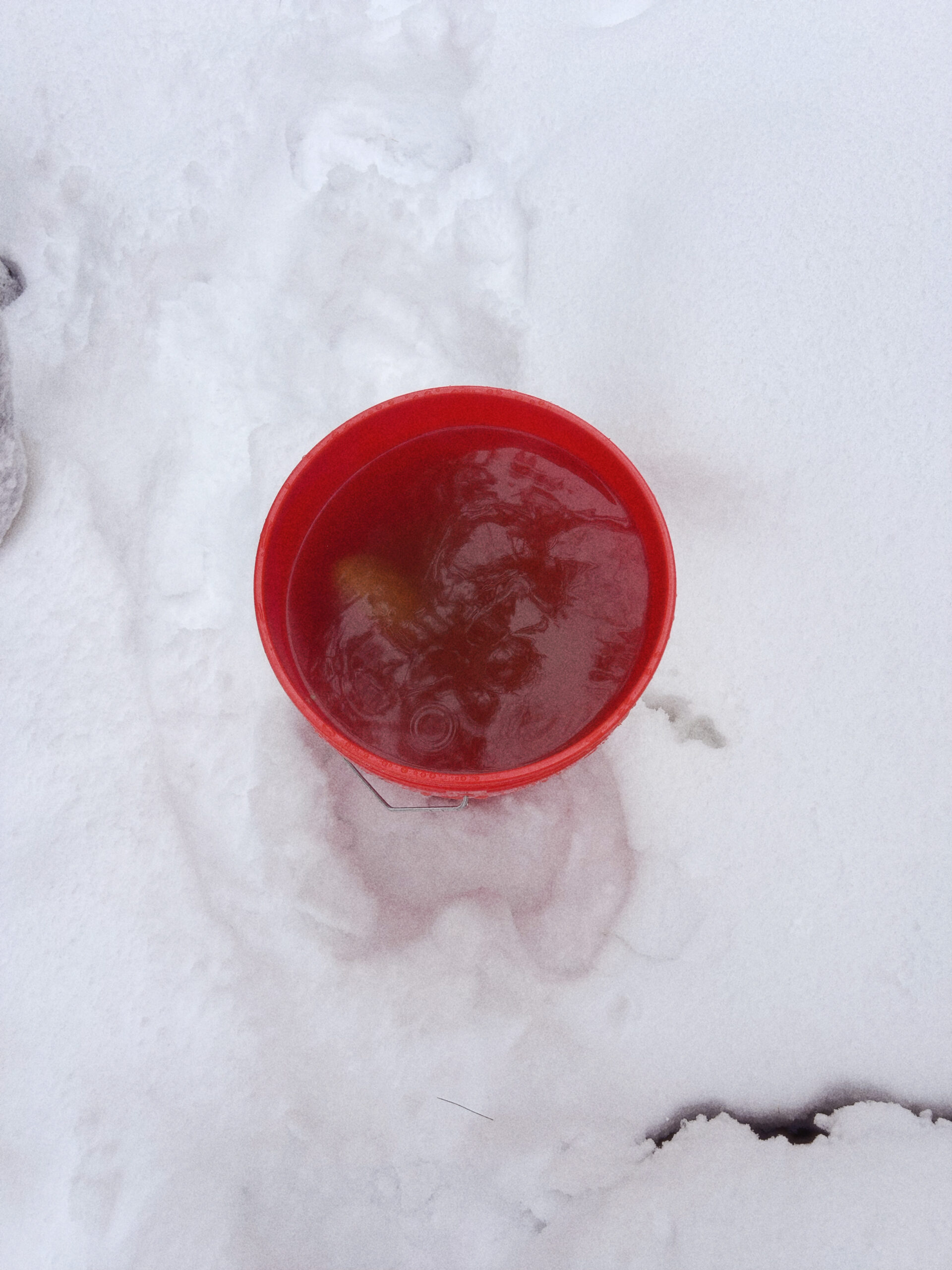 Red bucket with hot liquid bath in snow before dye is fully mixed